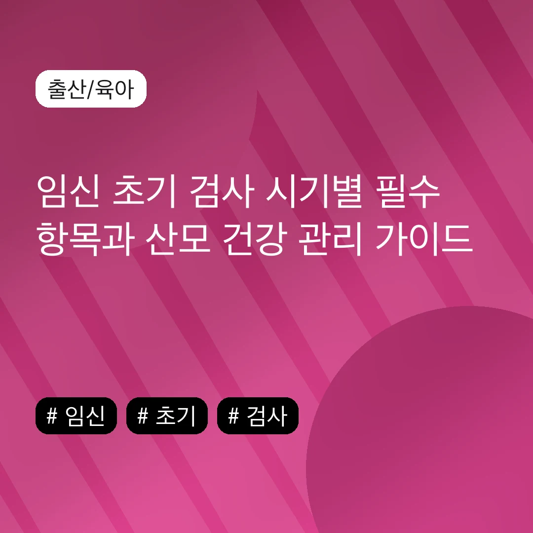 임신 초기 검사 시기별 필수 항목과 산모 건강 관리 가이드